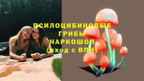 a pvp Дмитровск