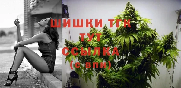 таблы Дмитриев