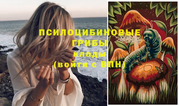 таблы Дмитриев