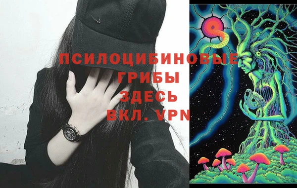 таблы Дмитриев